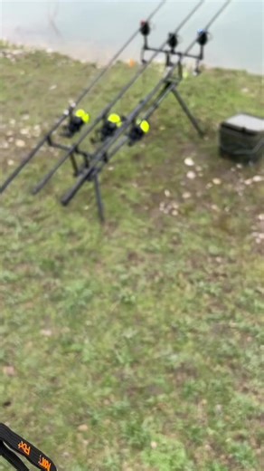 Exciting Carp Run Compilation for Fishing Enthusiasts