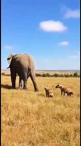 What this 😳😳 | Wheezy Bravo