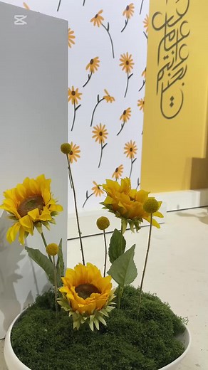 Yellow 💛#حائل #حايل #تنسيق_مناسبات #تنسيق_عيديات #عيدكم_مبارك #عيدكم_مبارك #طاولات_استقبال #طاولات_استقبال #مدخل_استقبال_ضيافه #عيد_الفطر_المبارك #طاولات_ضيافه #تنسيق_العيد