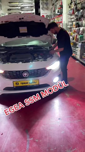 Understanding the Fiat Egea SSM Module and Its Features