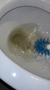 Hard water stains? 🚽✨ #CleaningHacks #VinegarMagic #ToiletCleaning #HomeTips #EasyCleaning | The Cleaning Lady