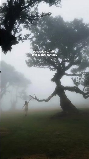 Exploring the Enchanted Forest: A Real-Life Fantasy Adventure! #Fantasy #Nature #Adventure