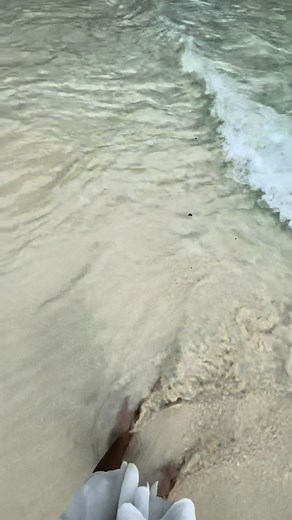 Maya Bay, Thailand 🤍 #phiphiisland #mayabay #thailand