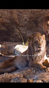 Is that a challenge? Scar and MUFASA #fypシ #fypシ゚ #fyp #trend #mufasa #happiness #simba | Prince Omoha Sampson Maduabuchi