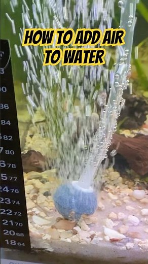 How to Add Air to Water 🌊💨 Simple Aquarium Bubbles #shorts