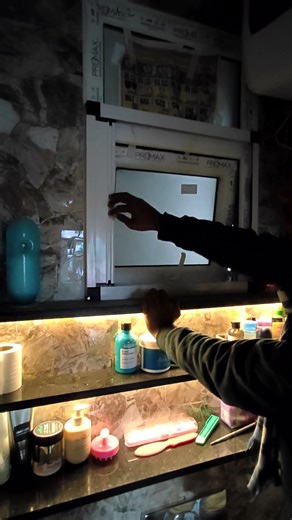 batroom windows mesh