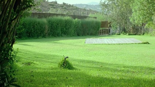 Kynodontas. Canino (Yorgos Lanthimos, 2009)