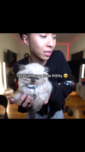 ray X Princeton ❤️‍🔥 #rayasianboy #kitty #twitch #clip | ray