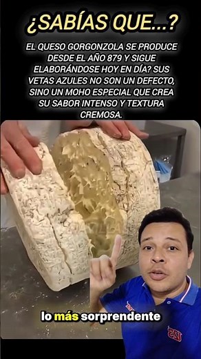 The ancient secret of Gorgonzola🧀