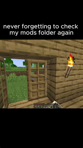This Is Why You Check Mods 💀