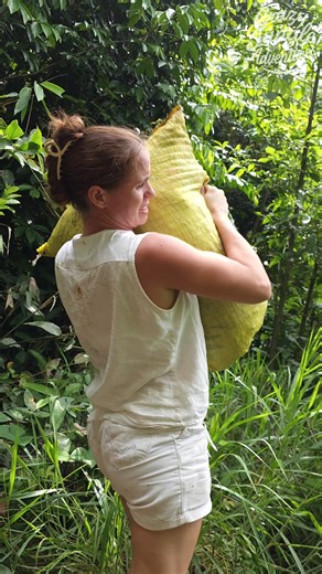 Crazyjungleadventures on Instagram: "Carrying Giant Cow Manure Bag on My Shoulders – Tomato Fertilizer Run! 💩🪴🔥 #Homesteading #OffGridLiving #JungleLife"