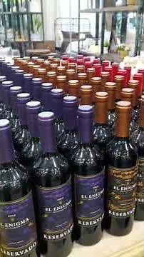 Combo Kit Wine 6 Peças + Vinho El Enigma Para Sócios do Clube Vestcasa