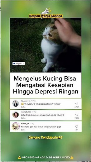 Mengelus kucing meredakan stres🤔