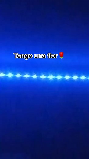 #fypシ #frases #parati