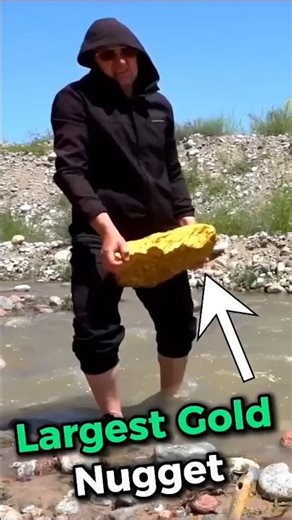 Largest Gold Nugget Ever Found! 🪙✨ #shorts #gold #nugget #treasure