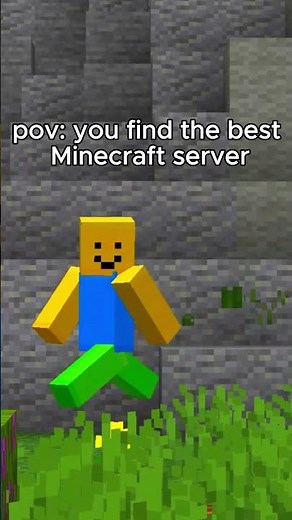 POV: you find the best minecraft server to play on with the boys
