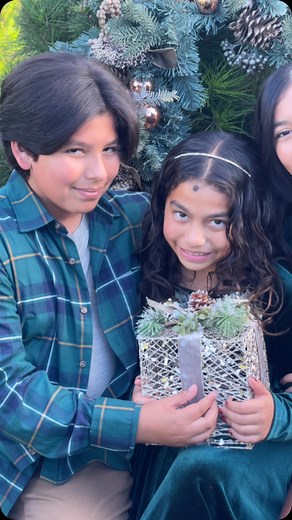 5.3K views · 26 shares | I can’t post too many sneaks but just wrapped another amazing day of tree farm minis a full day tomorrow thanks everyone !! | Ana Brandt Photography | Facebook