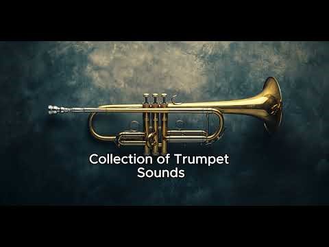 "Collection of Trumpet Sounds Effects"