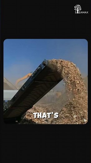 What is Torrefaction? #Energy