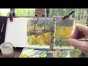 Why a Dead Aspen Tree Isn't Really Dead