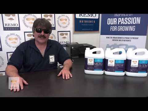 Remo Nutrients - Grow Micro Bloom