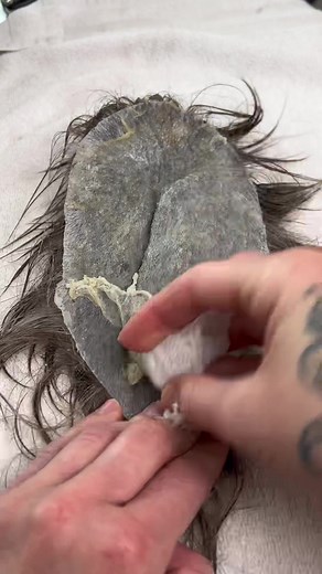 Removing Polyurethane Glue from Toupee: Expert Hair Care Tips