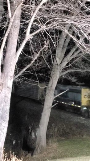 CSX SD40-2 in Yn2 paint on the B&O old Mainline 2/28/26