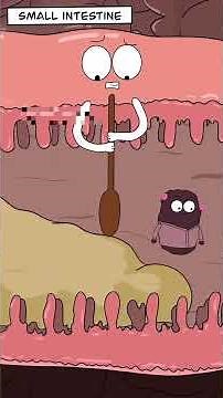 👉 What Your Stool Color Says About Your Health | Animated Guide