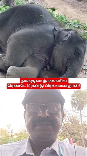 #We_have_two_problems_in_life #viral #comedy #funny #viralvideo #trending #shorts