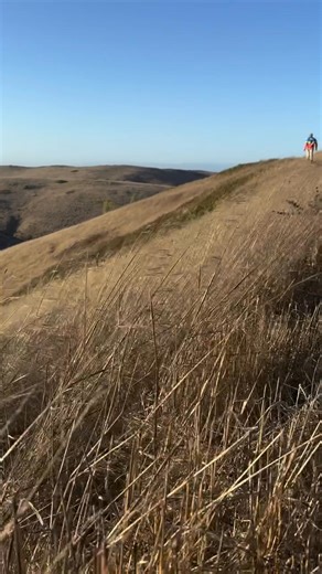 Adventure is just off the coast of Ventura. Channel Islands National Park is where Ventura’s wild side thrives. From sea caves to dramatic cliffs and crystal-blue waters, every trip with Island Packers feels like discovering California’s best-kept secret. Who’s ready to explore the islands? ⛰️🥾 📷 instagram.com/meanderingale | Ventura