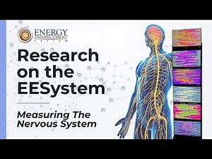 EESystem Research, Measuring The Nervous System With Roland Pankewich