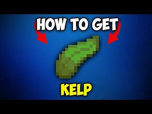 How to Get Kelp in Minecraft 1.21.3