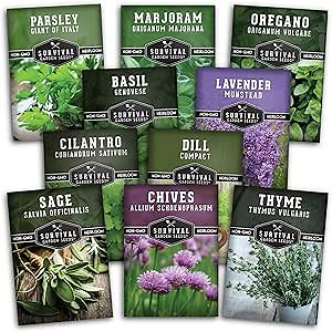 Herb Seeds Variety Pack | 10 Culinary Herbs for Planting – Basil, Cilantro, Lavender, Dill, Parsley, Oregano, Thyme, Sage, Chives, Marjoram – Indoor Kitchen Herb Kit – Survival Garden Seeds