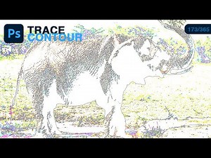 How to Use the Trace Contour in Photoshop