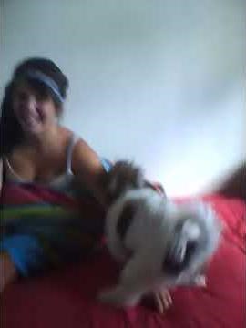 Giorgia getting humped by dog.