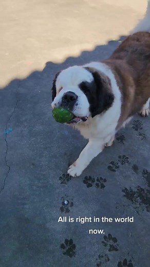 The things we do for our pups.😂 He ripped his pants doing this😂