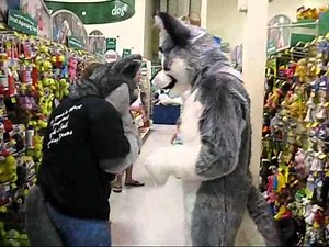 Furries at Pet Smart