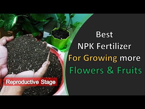 Organic NPK fertilizer for growing more Flowers and Fruits