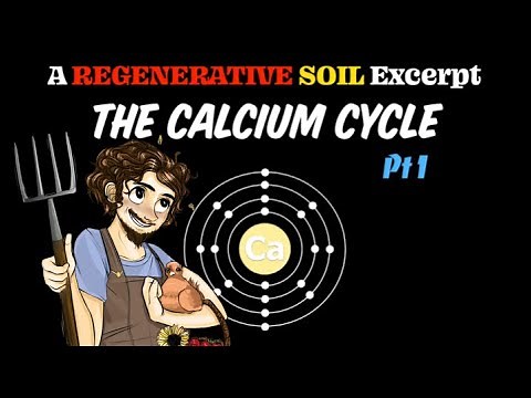 Plant Essential Elements: Calcium Cycle pt 1 | A REGENERATIVE SOIL Excerpt