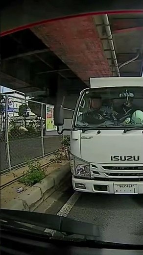 残念な生き物達・・#shorts #ドライブレコーダー #迷惑運転 #危険運転 #事故