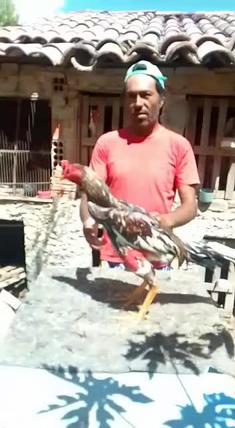 Os vídeos de davidL_22 (@ksuhwkd) com Original Sound - Unknown