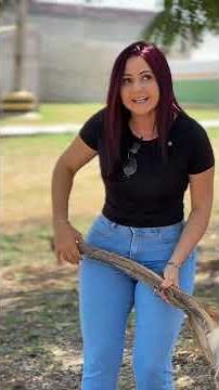 A Gê, e a surra no esposo!😱😂🤣 #humor #videosengracados ￼