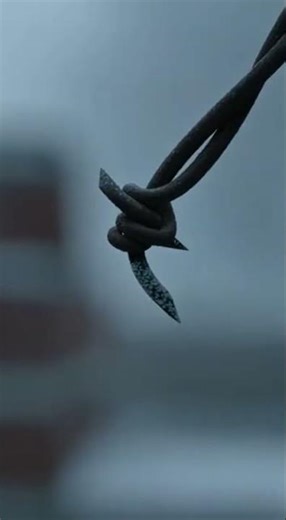 Sniper vs Sniper: The Fence Wire Twitch