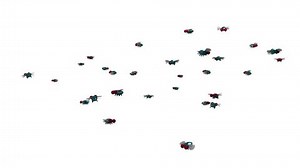 Swarm Flies 3d Animation Cartoon Style Stock Footage Video (100% Royalty-free) 10179095 | Shutterstock