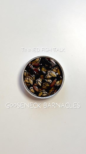 Meijie (Mei) Liao on Instagram: "Gooseneck Barnacles 🎣 Tinned Fish Talk Gooseneck barnacles (AKA percebes) are native to the Atlantic and found attached to rocks in intertidal zones. At low tide, foragers scramble over sharp rocks or dive, risking their lives in search of this delicacy. Taste 🐟 The taste is similar to clams being a little sweet, briny, and a little mineral-y. There’s also an iodine flavor (similar to seaweed), so not entirely like a clam The taste between fresh and tinned is v