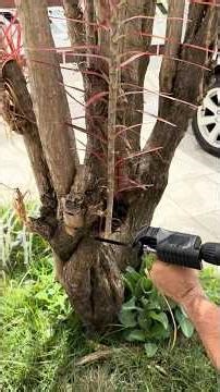 Transformei minha PARAFUSADEIRA em uma SERRA TICO-TICO 😱 FUNCIONA MESMO!