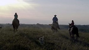 Beef - It's What's For Dinner - Beef quality assurance