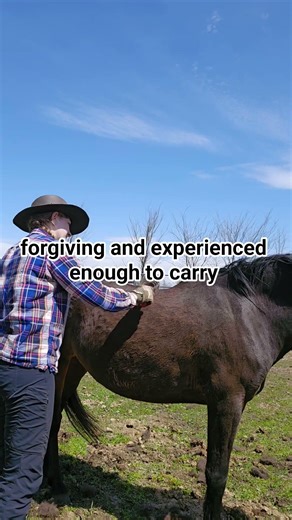 Buying your first horse watch this first! #horse #equestrianjourney #horsecare #horseaddict