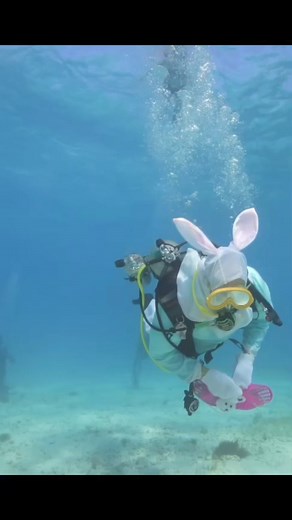 8.7K views · 115 reactions | Divers and snorkelers went “egg-sploring” to find Easter eggs doled out by a scuba-diving Easter Bunny in the Florida Keys National Marine Sanctuary off Islamorada! The Underwater Easter egg Hunt is staged each year Spencer Slate, operator of Captain Slate's Dive Center in the Keys. | The Florida Keys & Key West | Facebook