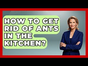 How To Get Rid Of Ants In The Kitchen? | Insects and Invaders